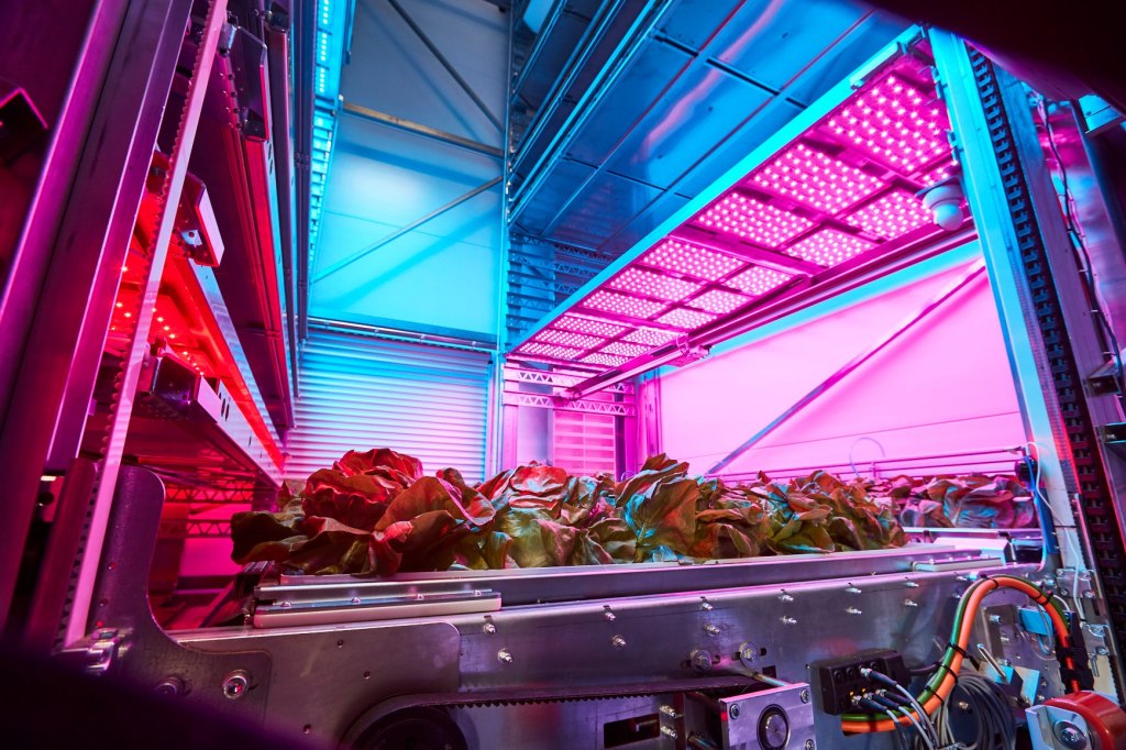 economia circolare agricoltura idroponica Ono Exponential Farming